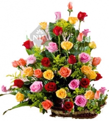 Basket of Mixed 50 Roses