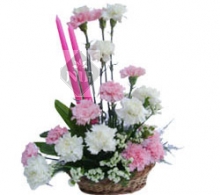 Pink and White Carnations