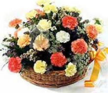 Charming Basket of Carnations