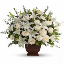 White Flowers in Vase