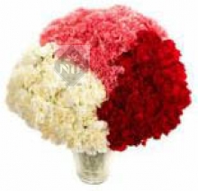 Tri Color Carnations