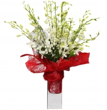 Bouquet of White Orchid