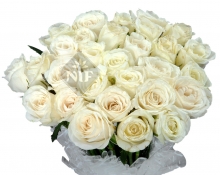 Lovely 40 White Roses