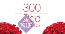 Send 300 Red Roses