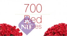 Send 700 Red Roses