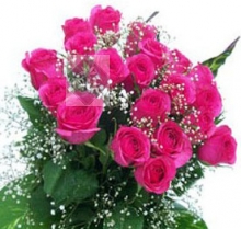Bunch of 20 Pink Roses