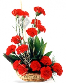 Arrangment of Carnations