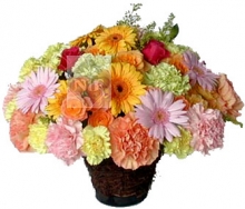 Big Basket of Mixed Flowers