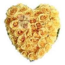 Heart of Yellow Roses