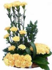 Arrangement of Yellow Carnations