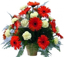 Carnations and Red Gerberas