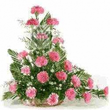 Arrangement of Carnations